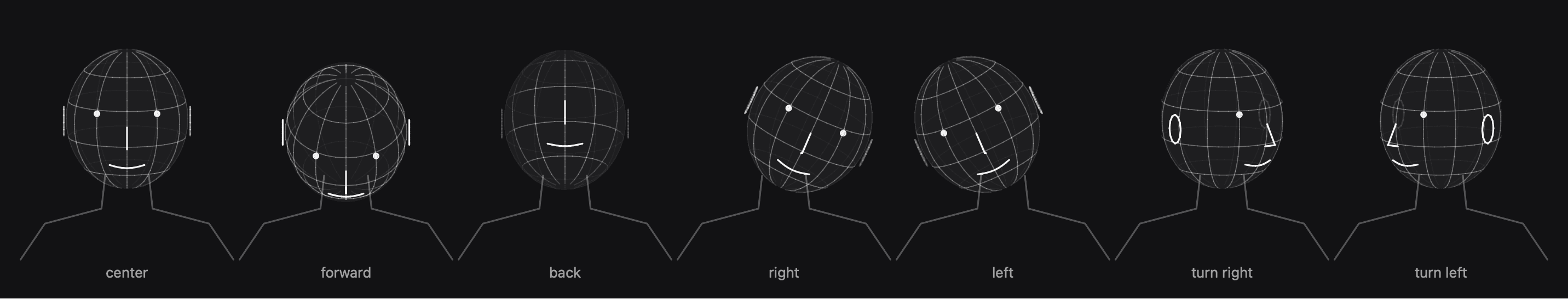 The 3D setup head in seven poses: center, look down, look up, tilt right, tilt left, turn right, turn left